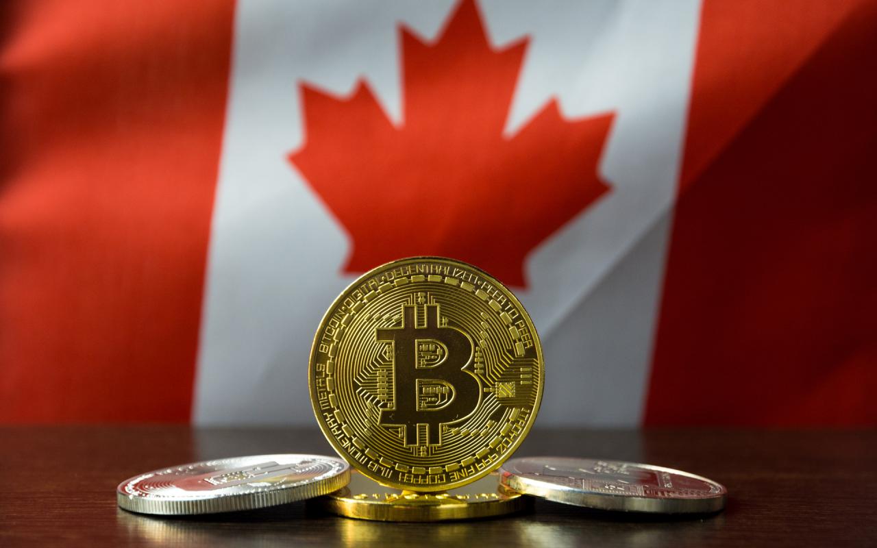 7 Best Places To Buy Bitcoin In Canada - Coin Clarity 7 Best Places To Buy Bitcoin In Canada - Coin Clarity